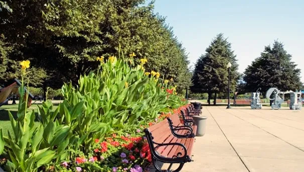 Professional landscape installation for beautiful yards across West Chicago, IL - Salinas Landscaping