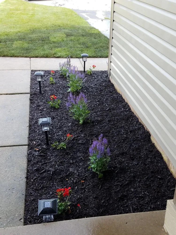 Trusted yard cleanup service for year-round maintenance across West Chicago, IL - Salinas Landscaping