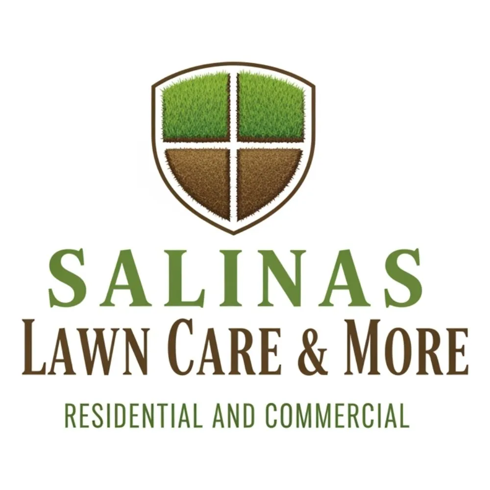 Custom landscape design in San Antonio, TX by Salinas Lawn Care & More