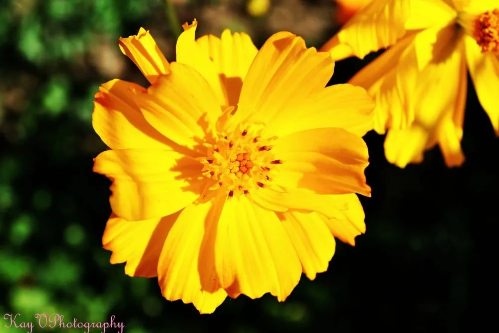 Affordable outdoor landscaping in Heber City, UT by Salinas.C Landscaping