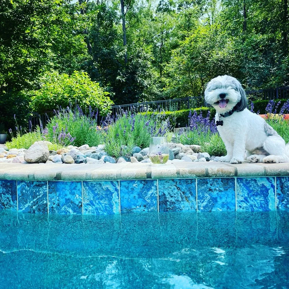 Local landscaping services near you in Belleville, MI by Salisbury Landscape Group