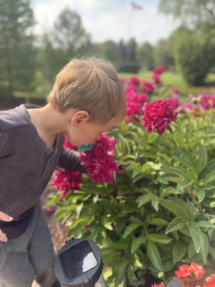 Local yard maintenance with custom design in Belleville, MI by Salisbury Landscape Group