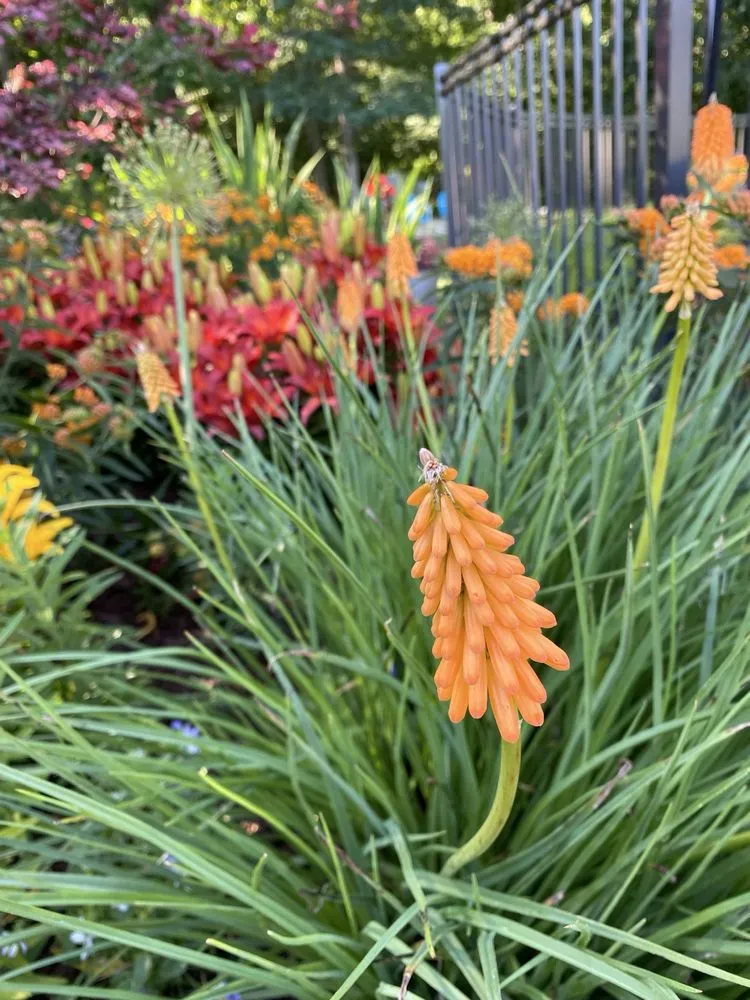 Custom yard cleanup service experts serving Belleville, MI - Salisbury Landscape Group