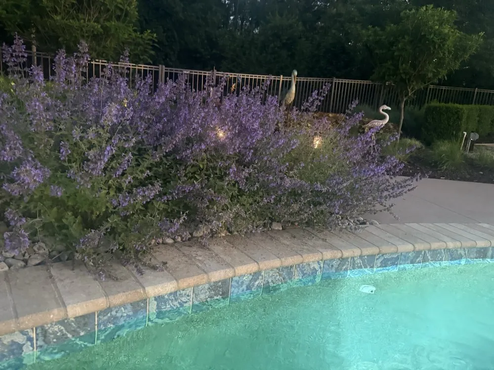 Custom yard cleanup service for residential properties across Belleville, MI - Salisbury Landscape Group