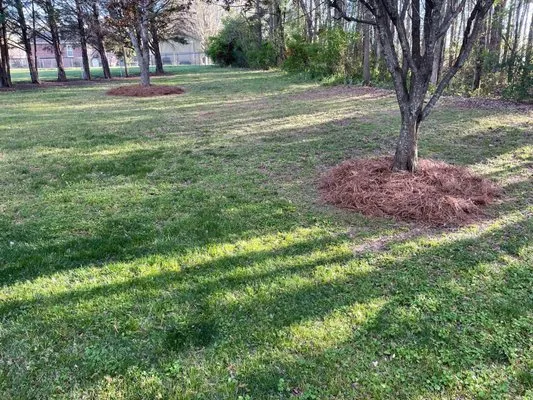 Salisbury Landscaping Services Logo