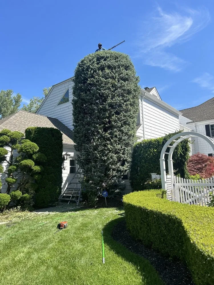 Affordable lawn mowing service experts serving Glen Cove, NY - Salmeron Landscaping