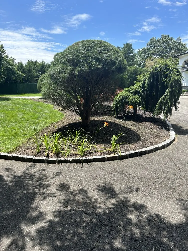 Expert lawn care service in Glen Cove, NY - Salmeron Landscaping