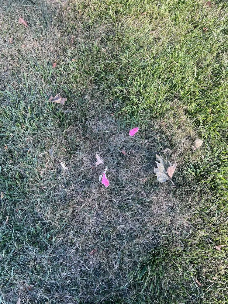 Expert outdoor landscaping in Glen Cove, NY by Salmeron Landscaping