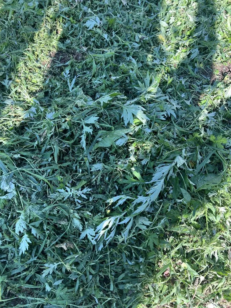 Trusted outdoor landscaping in Glen Cove, NY by Salmeron Landscaping