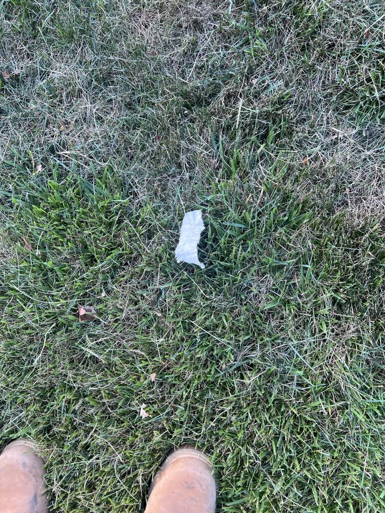 Top-rated lawn mowing service for beautiful yards in Glen Cove, NY by Salmeron Landscaping