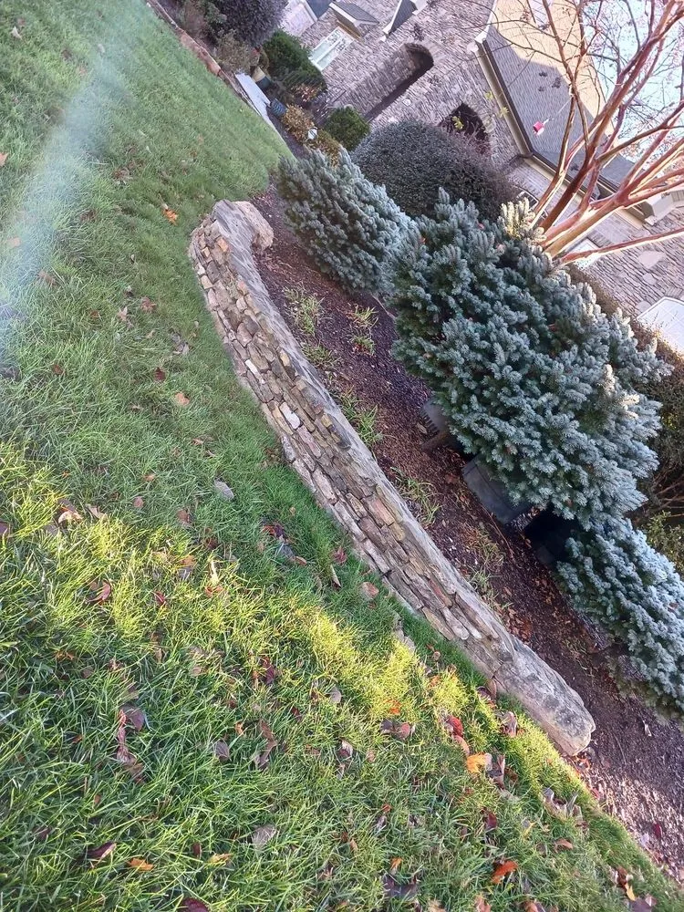 Expert landscape design for year-round maintenance in Kernersville, NC by Salmeron Lawn Service