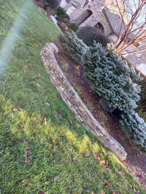 Salmeron Lawn Service Logo