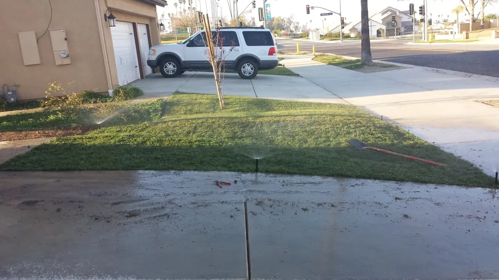 Local yard maintenance experts serving Riverside, CA - Salmex Landscape Company