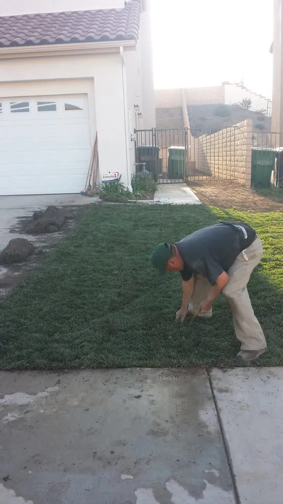 Top-rated yard maintenance for beautiful yards in Riverside, CA by Salmex Landscape Company