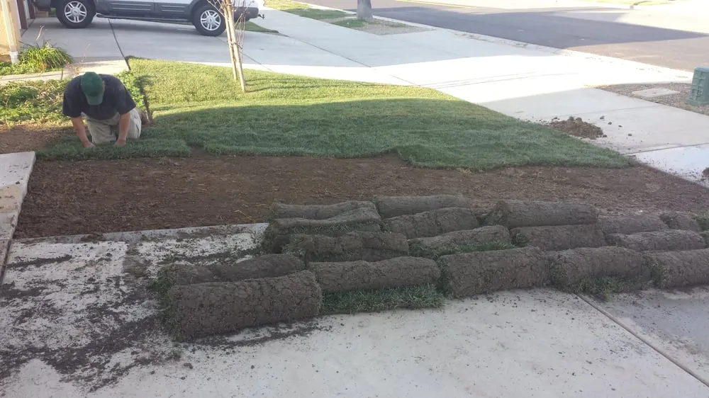 Custom lawn care service in Riverside, CA - Salmex Landscape Company