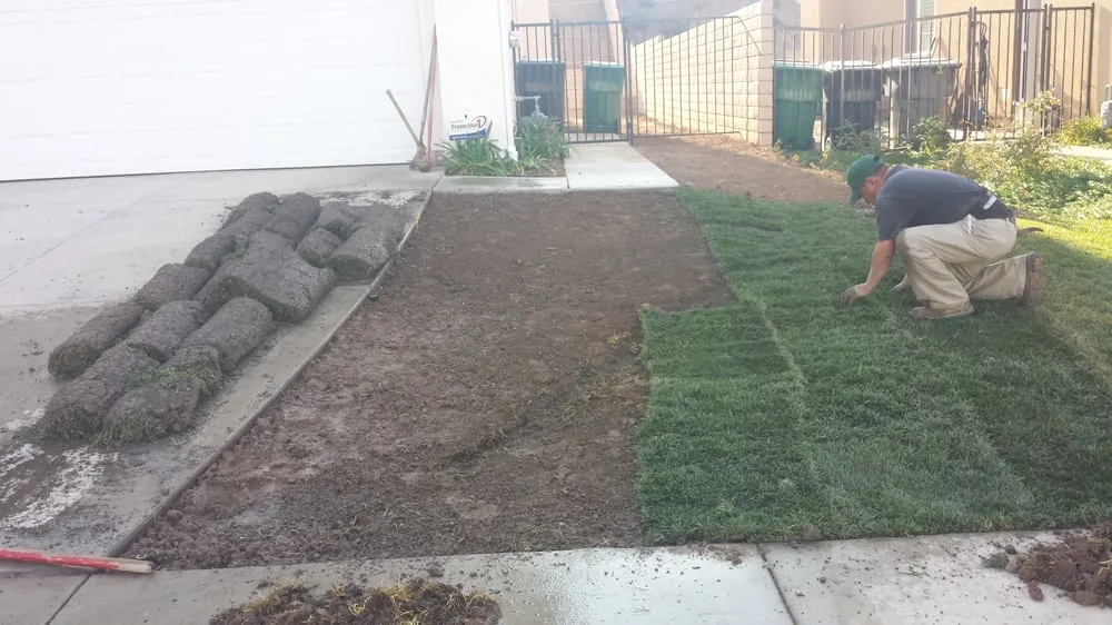 Top-rated landscape design in Riverside, CA by Salmex Landscape Company