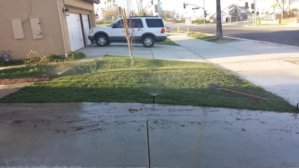 Salmex Landscape Company Logo