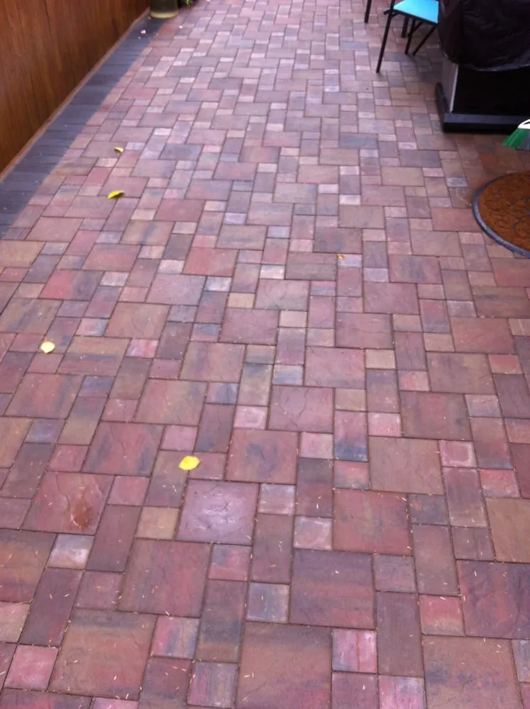 Local yard maintenance experts serving Seattle, WA - Salmon Bay Landscaping