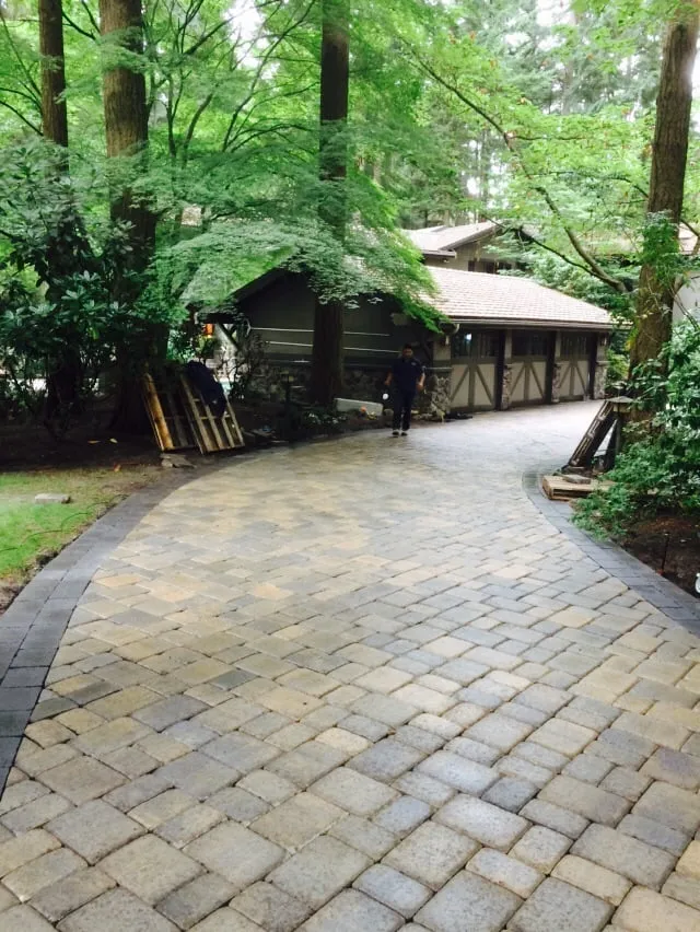 Affordable yard cleanup service for outdoor upgrades in Seattle, WA by Salmon Bay Landscaping