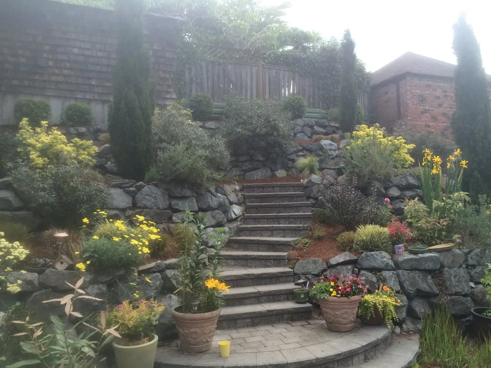 Affordable yard maintenance in Seattle, WA - Salmon Bay Landscaping