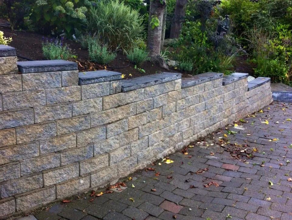 Reliable lawn care service near you in Seattle, WA by Salmon Bay Landscaping