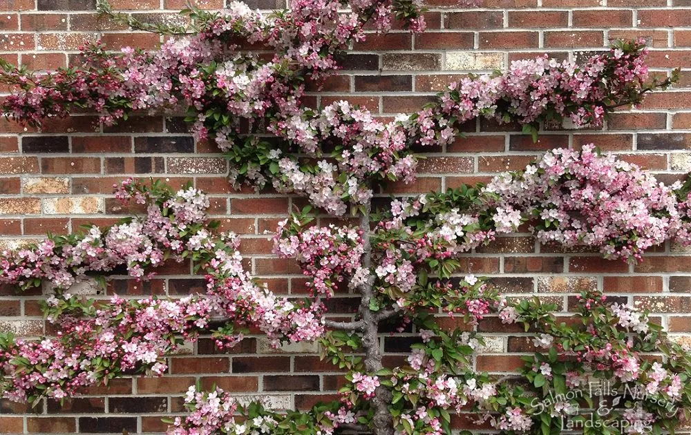 Custom lawn mowing service in Berwick, ME - Salmon Falls Nursery & Landscaping