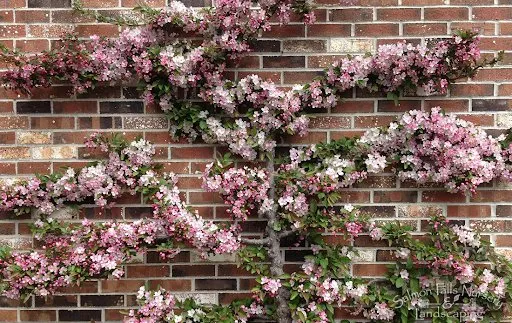 Reliable lawn care service in Berwick, ME by Salmon Falls Nursery & Landscaping