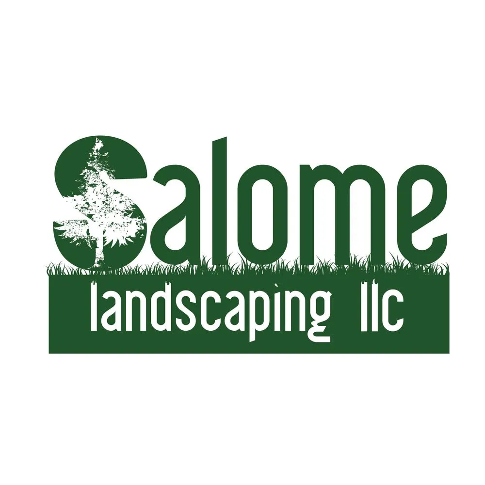 Custom yard cleanup service in Woodbridge, VA by Salome Landscaping
