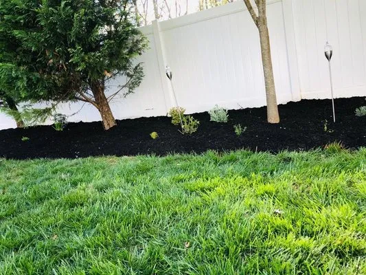 Salome Landscaping Logo