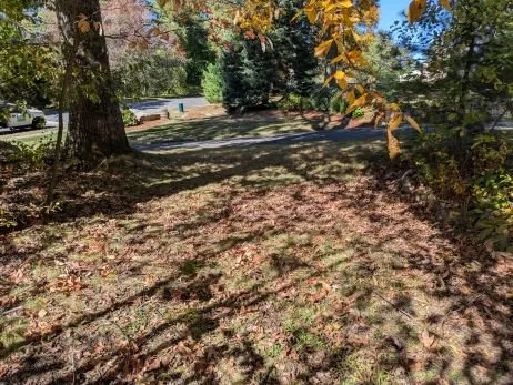 Expert yard cleanup service in Framingham, MA - Salomão Landscaping