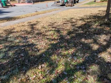 Affordable landscaping services for outdoor upgrades across Framingham, MA - Salomão Landscaping