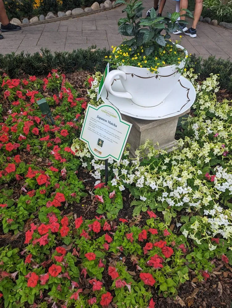 Top-rated yard maintenance in Miami Lakes, FL by Salomon Gardens