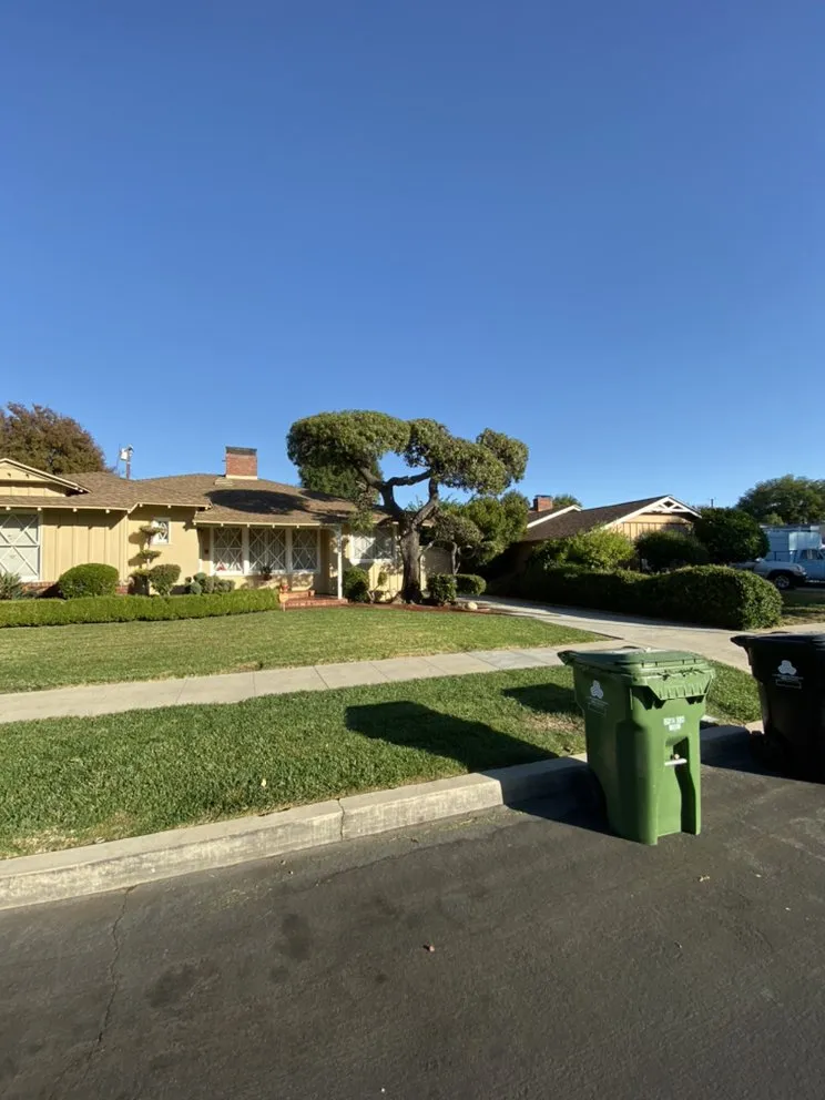 Local landscape design experts serving Los Angeles, CA - Salomon Landscaping