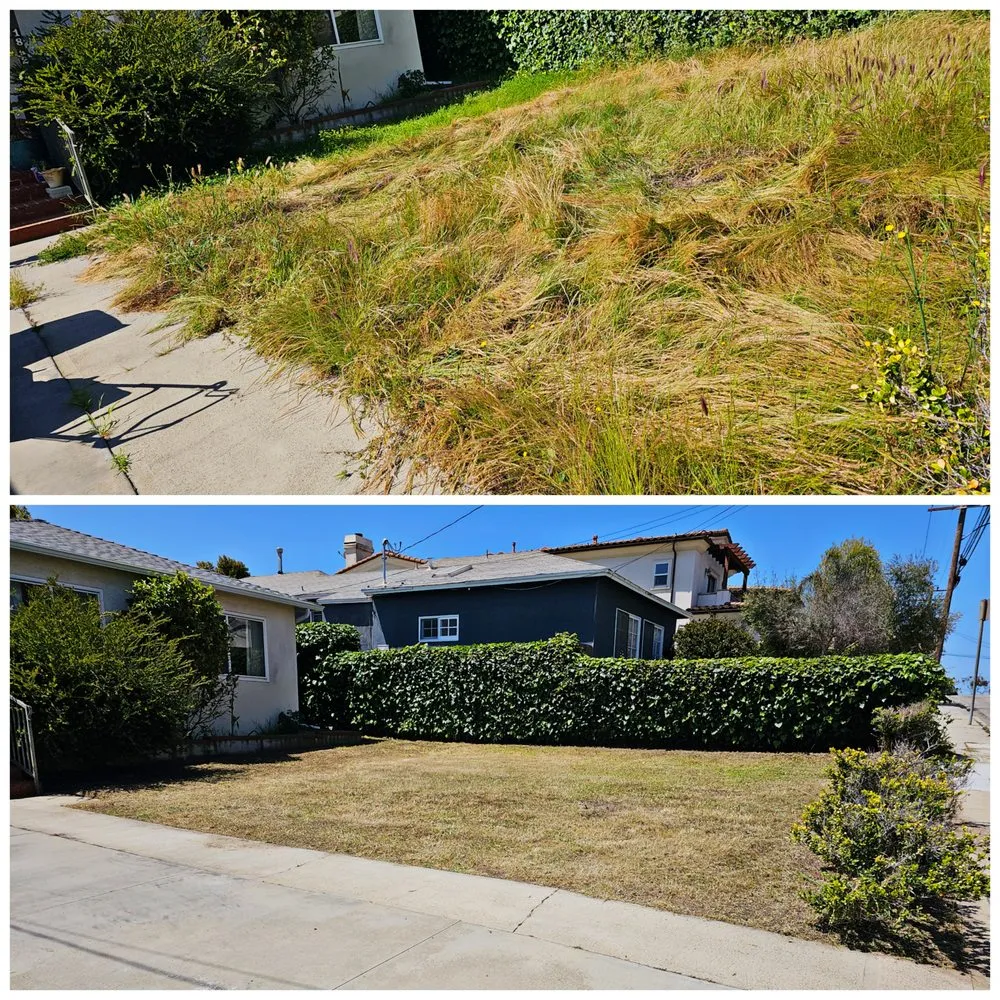 Expert garden landscaping in Lawndale, CA - Sal's Gardening Service