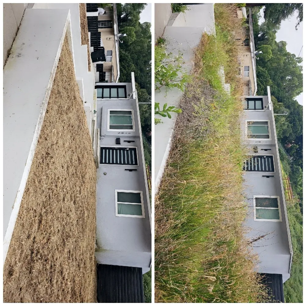 Affordable landscaping services in Lawndale, CA - Sal's Gardening Service