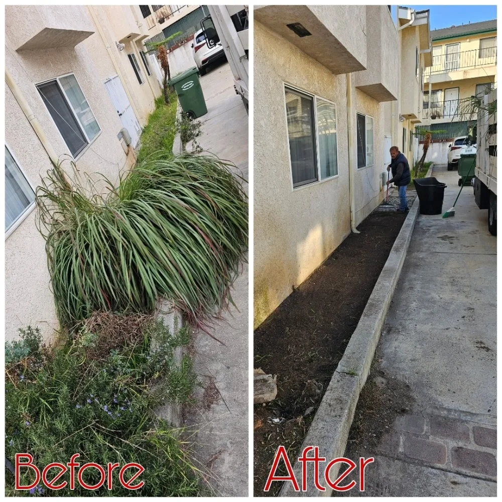 Affordable yard maintenance experts serving Lawndale, CA - Sal's Gardening Service