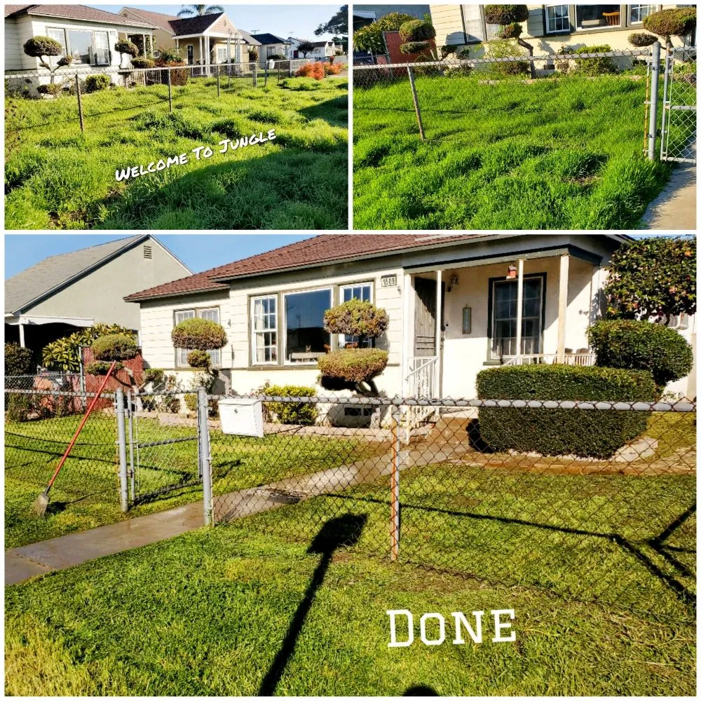 Custom yard maintenance for outdoor upgrades in Lawndale, CA by Sal's Gardening Service