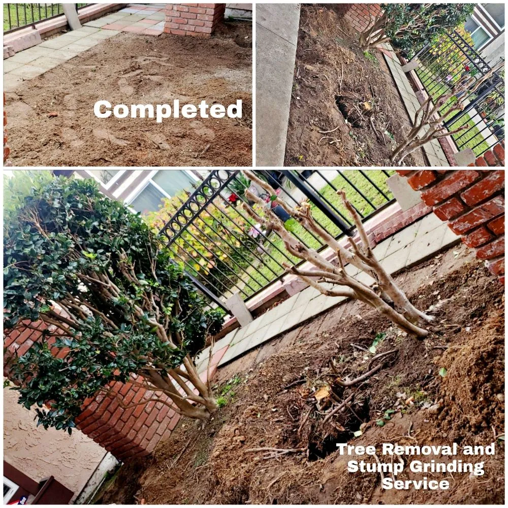 Expert lawn mowing service for outdoor upgrades in Lawndale, CA by Sal's Gardening Service