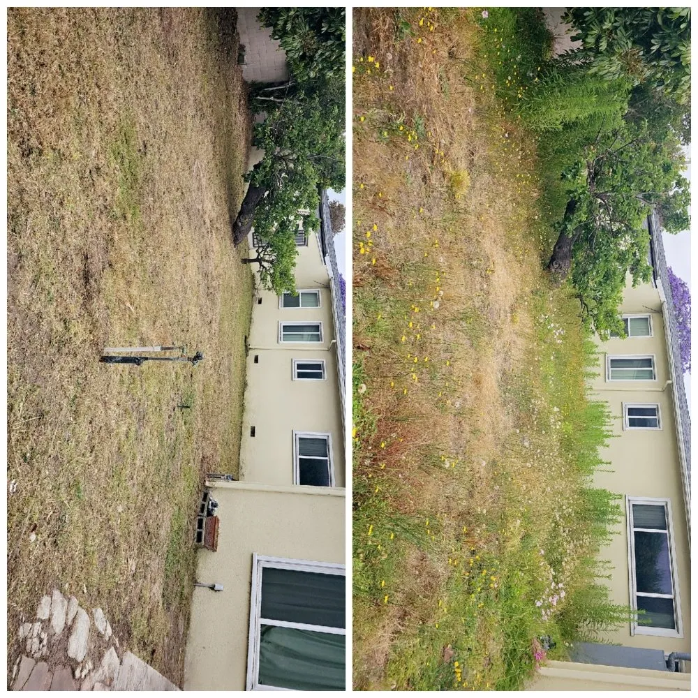 Reliable garden landscaping experts serving Lawndale, CA - Sal's Gardening Service