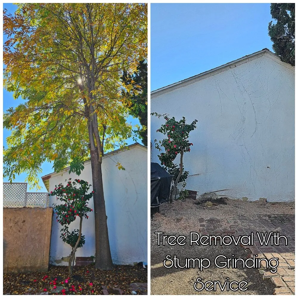 Expert landscape design experts serving Lawndale, CA - Sal's Gardening Service