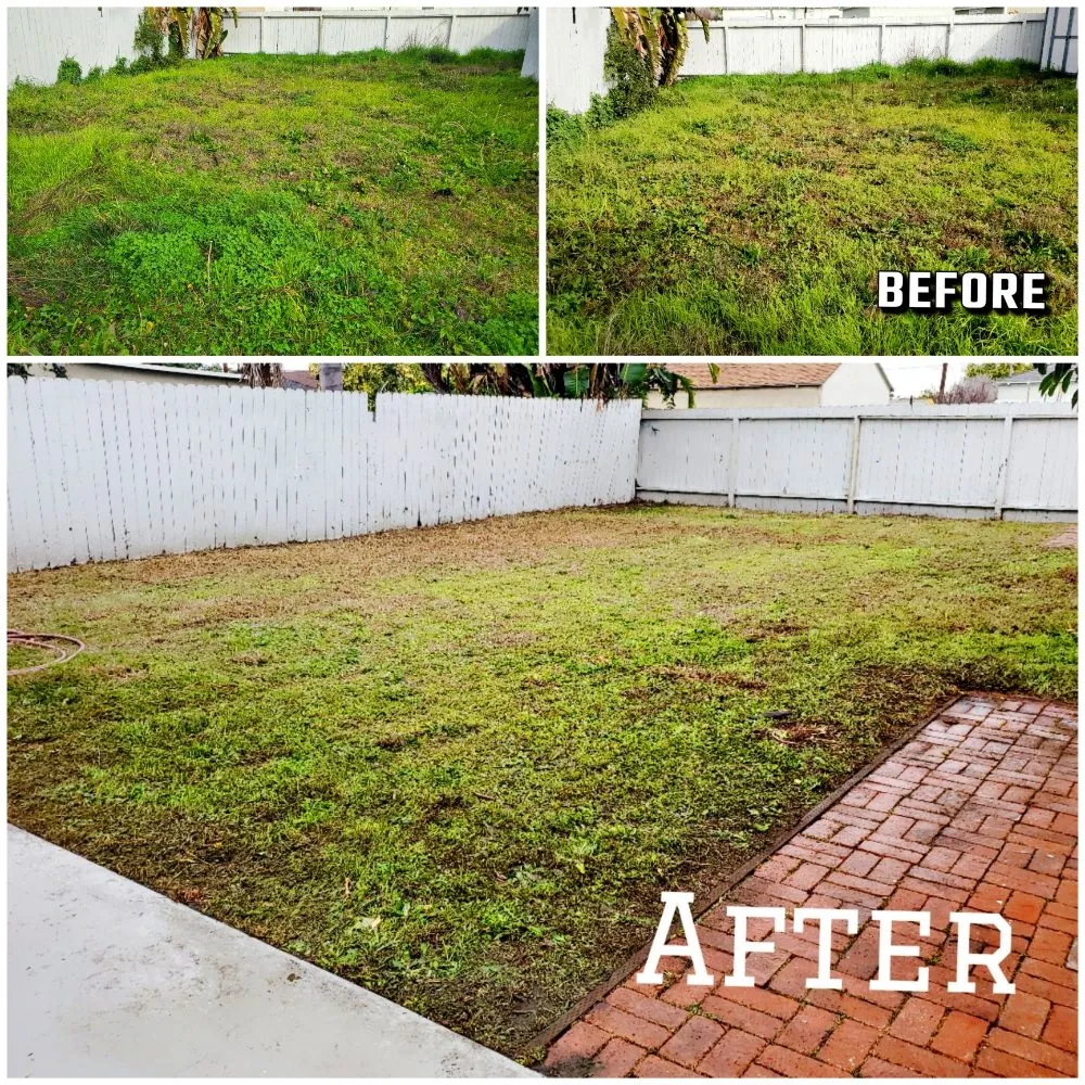 Custom lawn care service in Lawndale, CA by Sal's Gardening Service