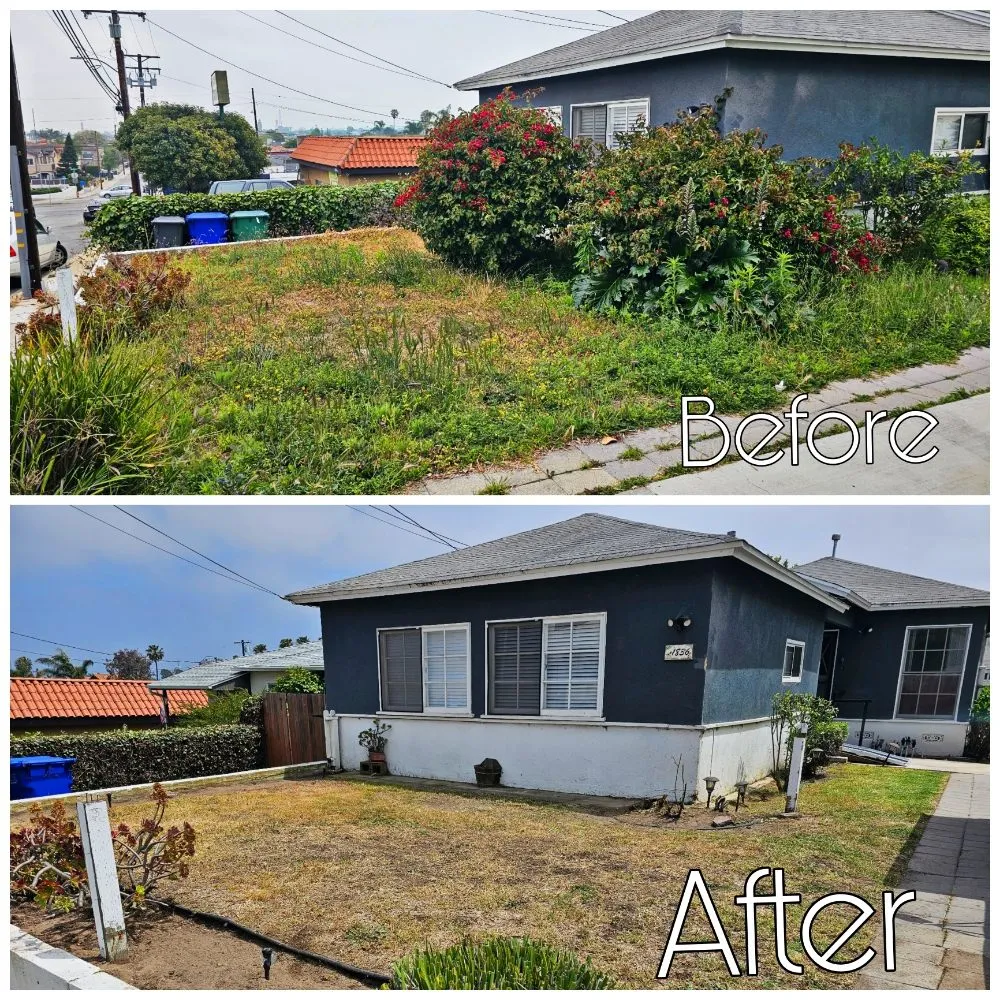 Reliable outdoor landscaping for beautiful yards across Lawndale, CA - Sal's Gardening Service