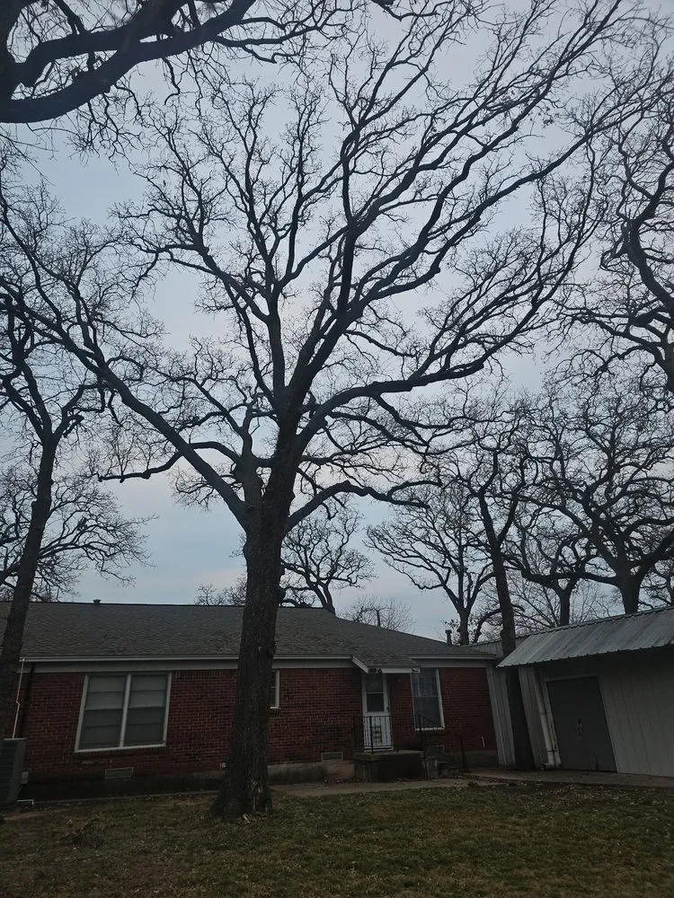 Local landscaping services in Fort Worth, TX by Sal's Landscape & Tree Service