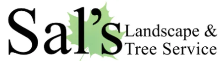 Reliable lawn care service in Fort Worth, TX - Sal's Landscape & Tree Service