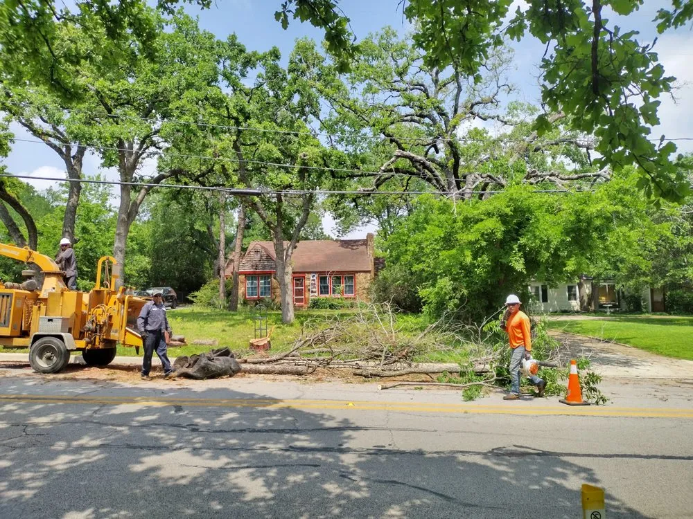 Custom landscaping services for outdoor upgrades in Fort Worth, TX by Sal's Landscape & Tree Service
