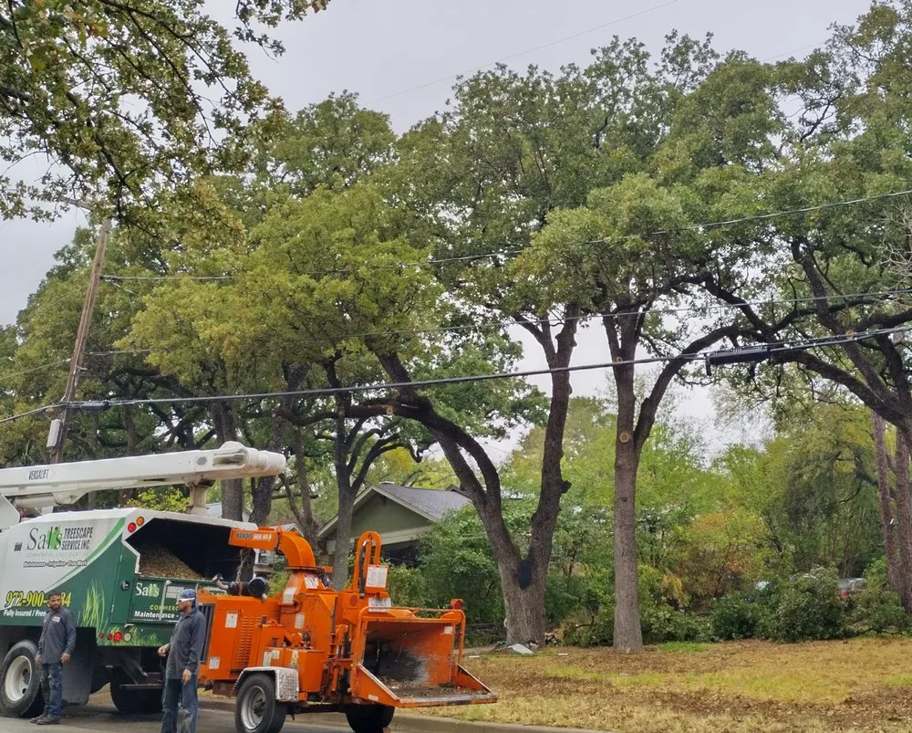 Custom landscape design for year-round maintenance in Fort Worth, TX by Sal's Landscape & Tree Service