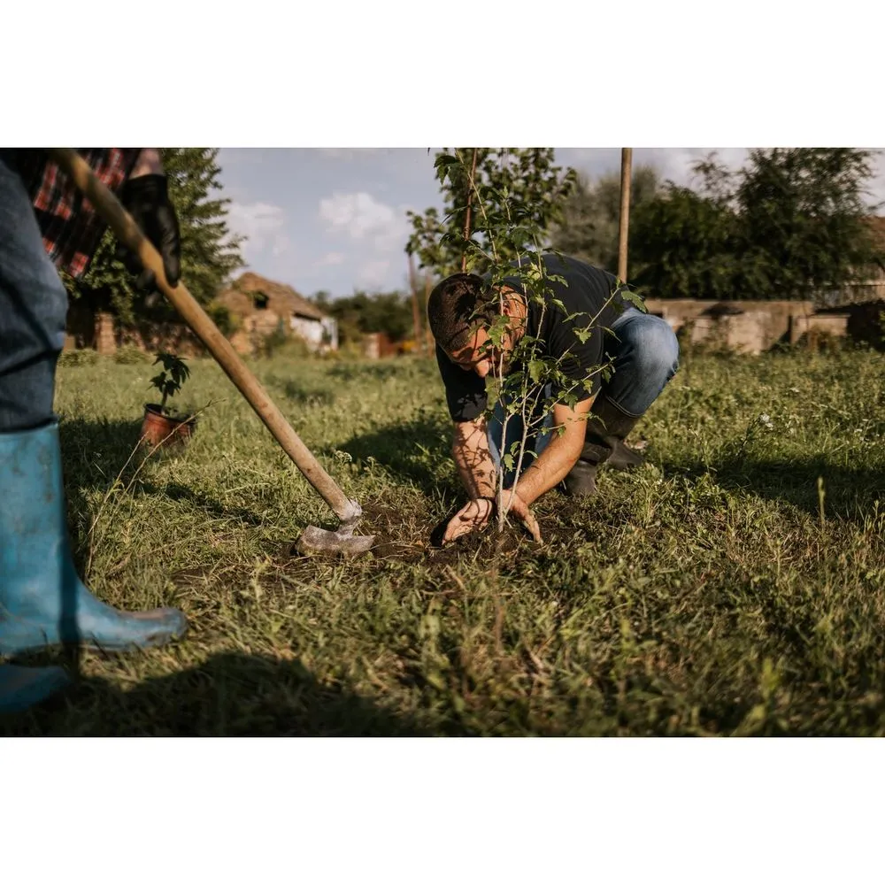 Trusted outdoor landscaping in Fort Worth, TX by Sal's Landscape & Tree Service