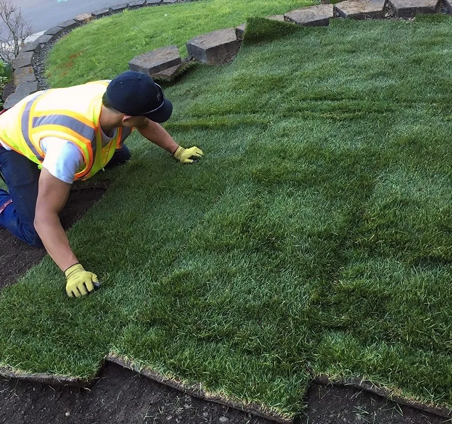 Affordable landscape installation experts serving Chicago, IL - Sals landscaping
