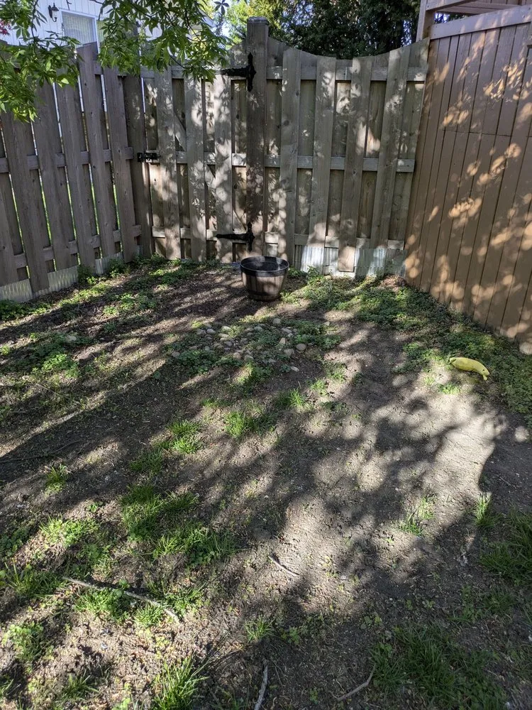 Affordable residential landscaping experts serving Niles, IL - Sal's Landscaping