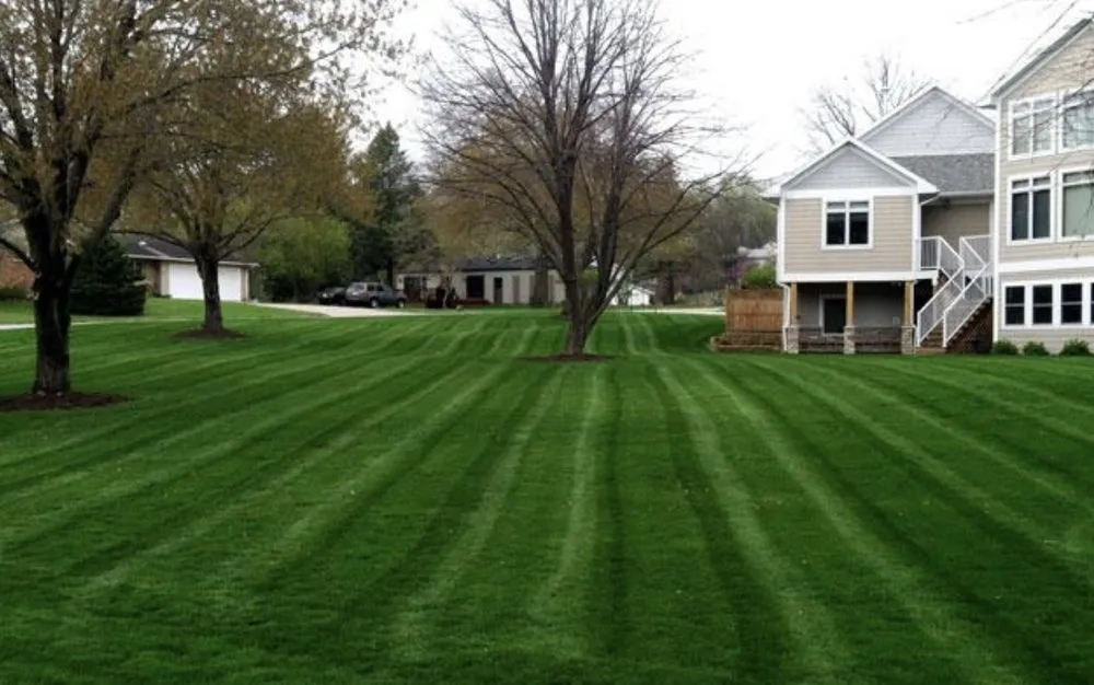 Reliable lawn care service for residential properties in Niles, IL by Sal's Landscaping